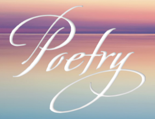 Poem – Waiting by Leza Lowitz